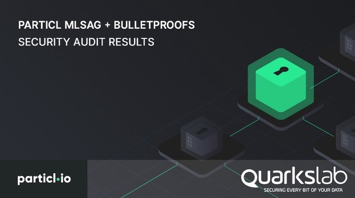 Particl MLSAG + Bulletproofs Security Audit Results